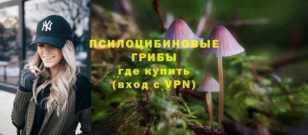 сатива Абаза