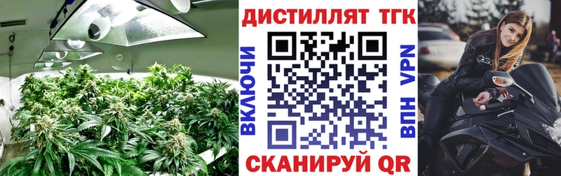 Дистиллят ТГК THC oil  Нюрба 