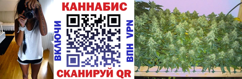 где купить наркоту Нюрба МАРИХУАНА ГИДРОПОН